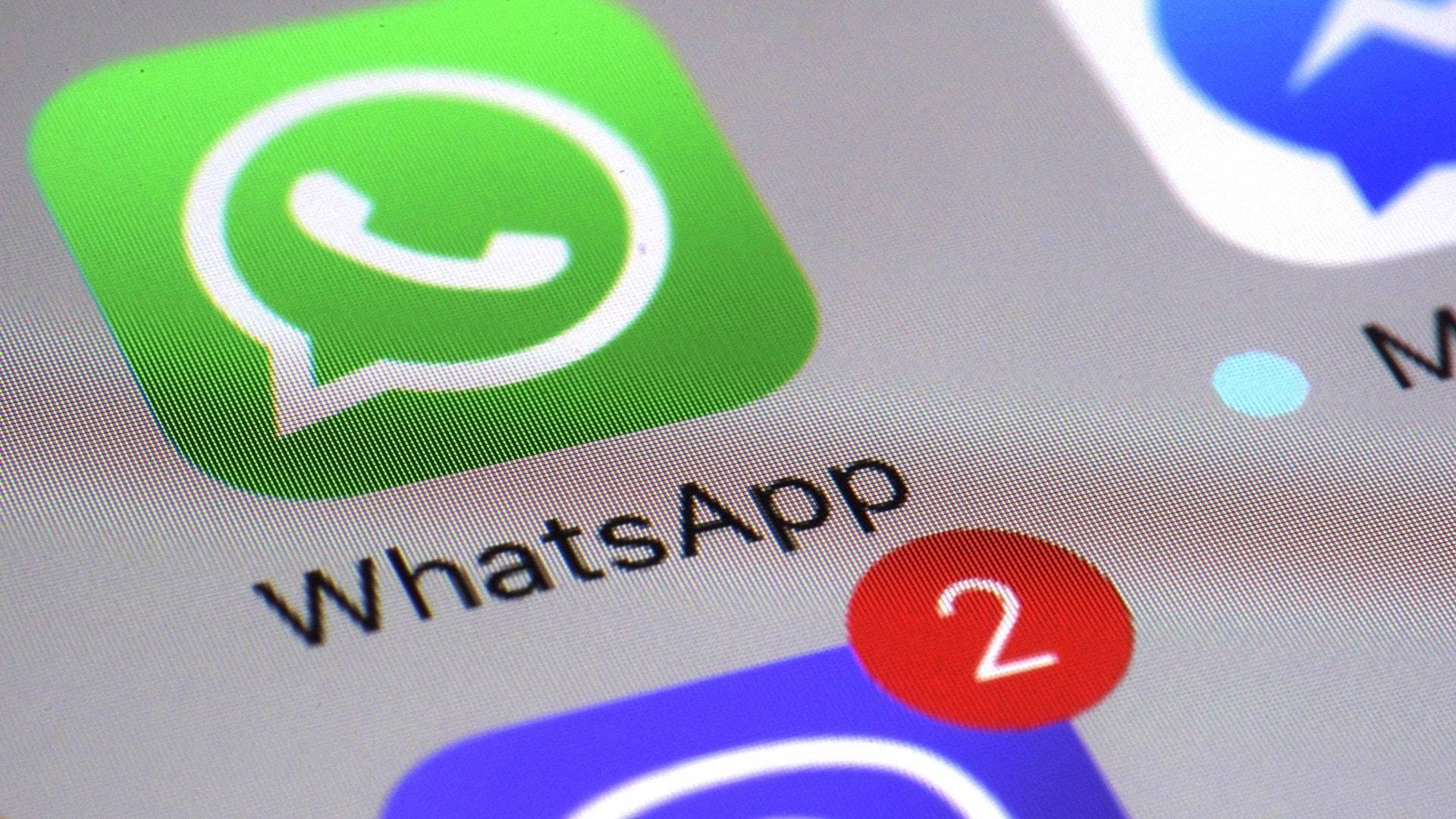 WhatsApp推新私隱政策　調查：Signal首四月下載量增逾10倍