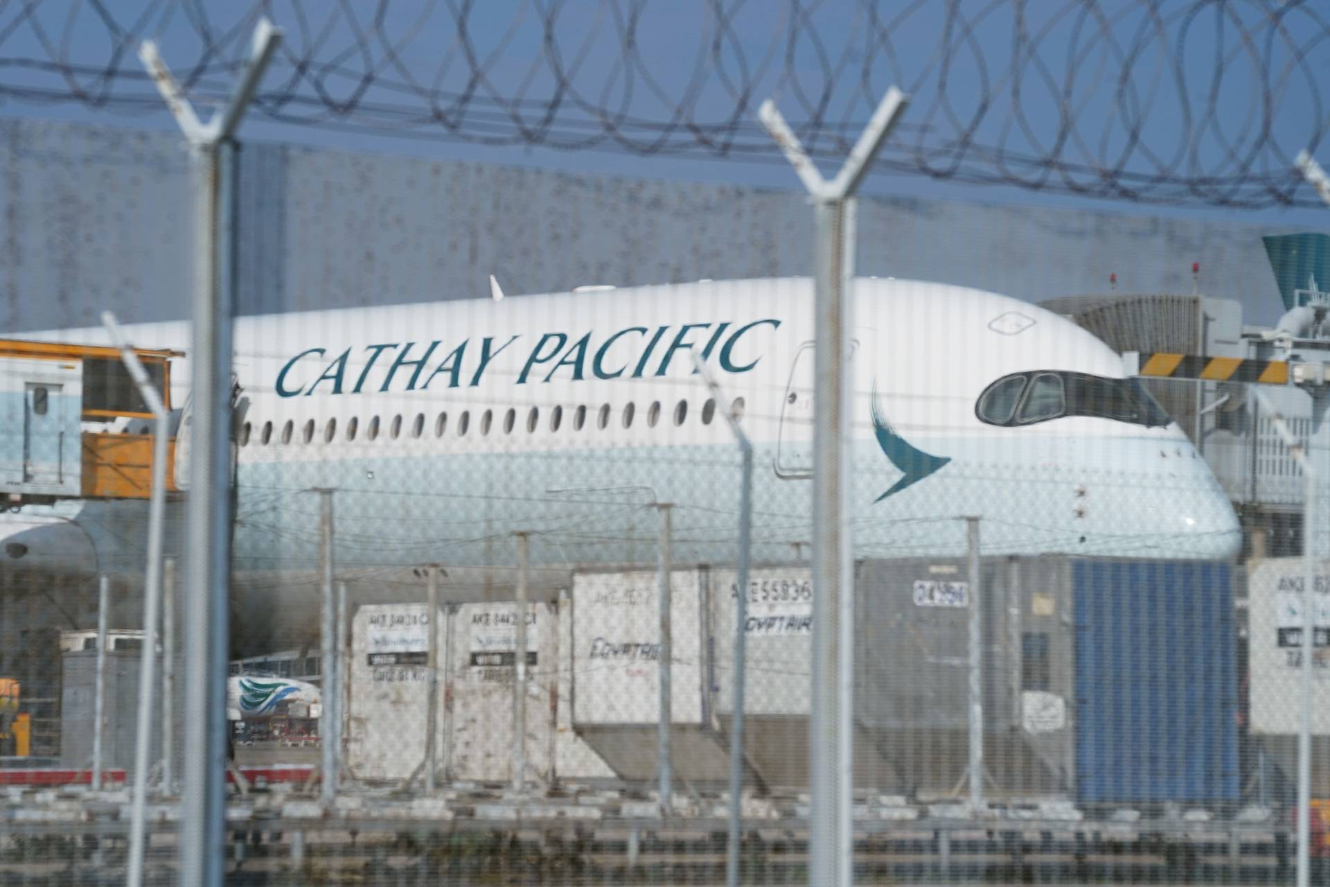 《南華早報》：國泰外籍機組人員遭入境處拒續簽工作簽證