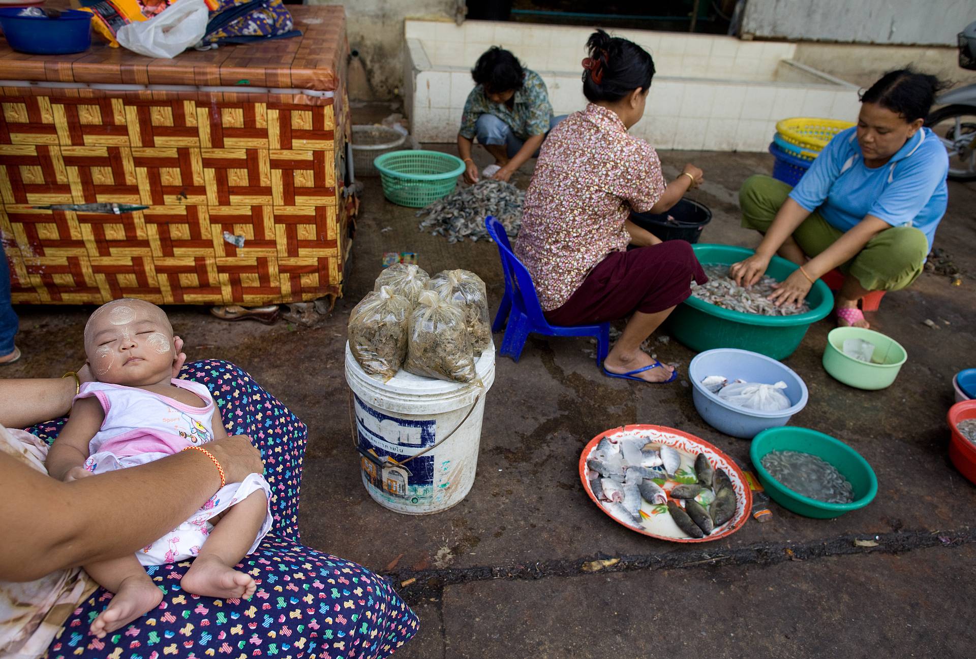 應對氣候變遷也能致富？　越南米農轉型「全民養蝦」｜巨子點評