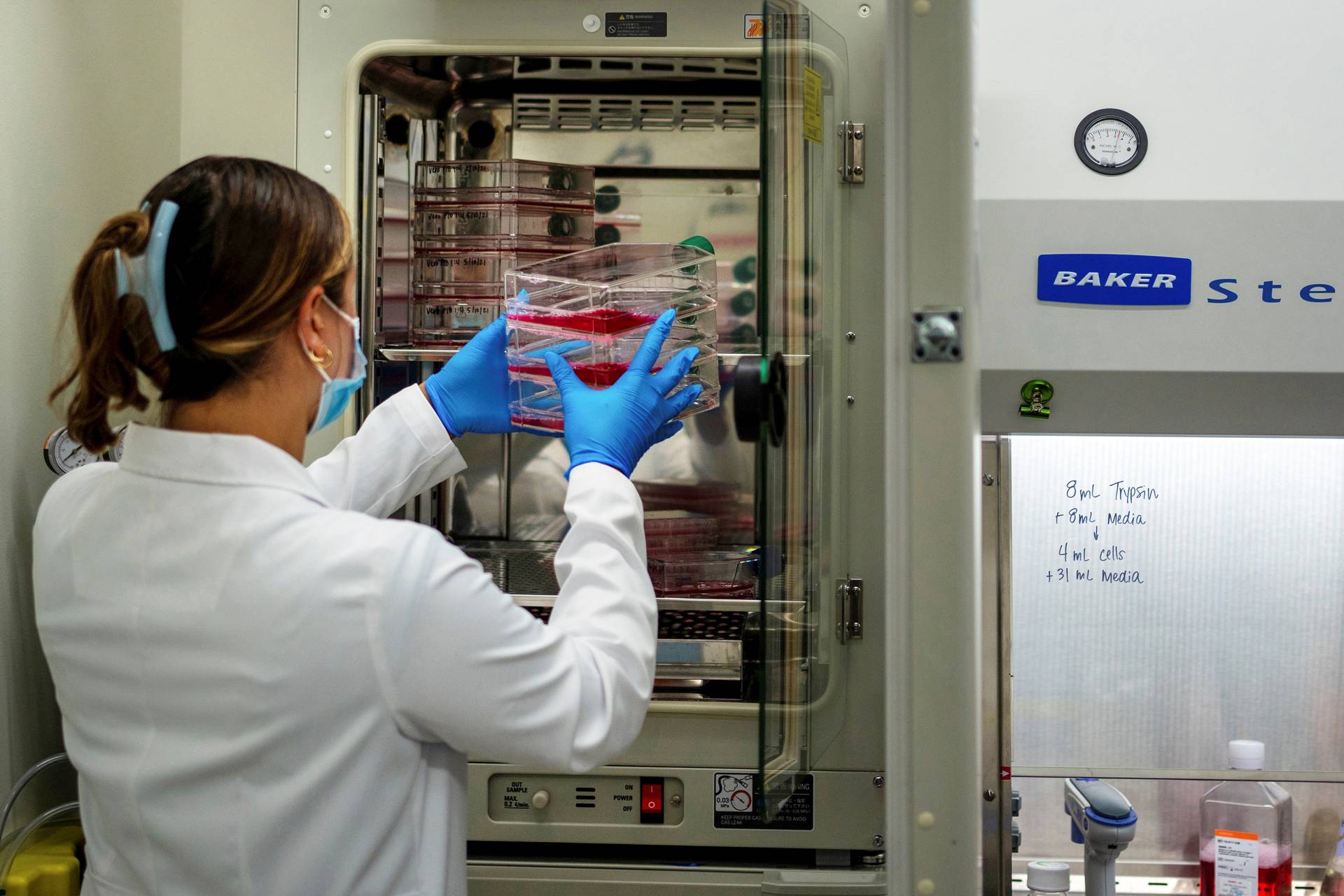 美國政府擬撥款32億美元開發抗新冠病毒藥物