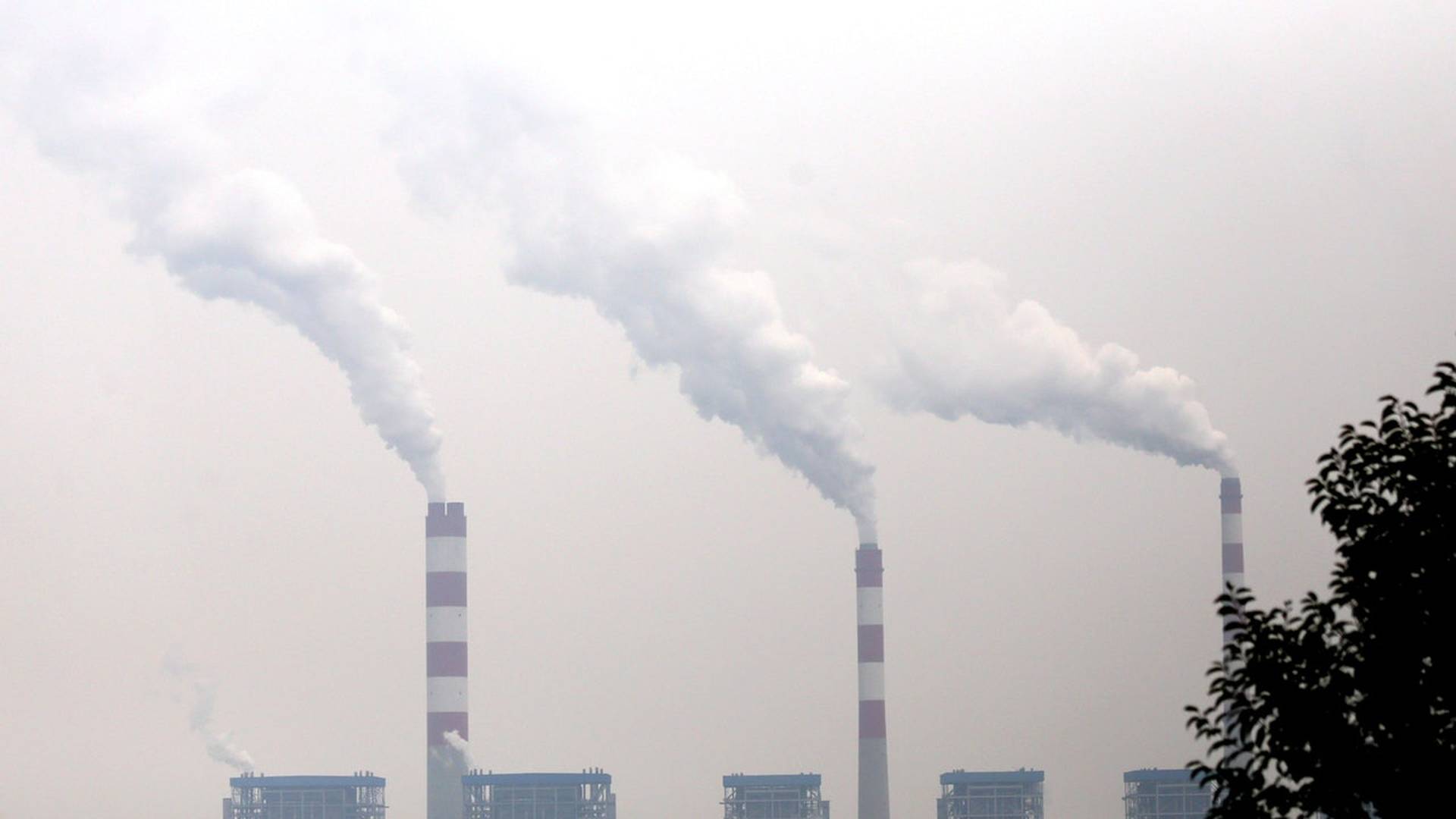 有關全國碳交易所，你需要知道這6個問題