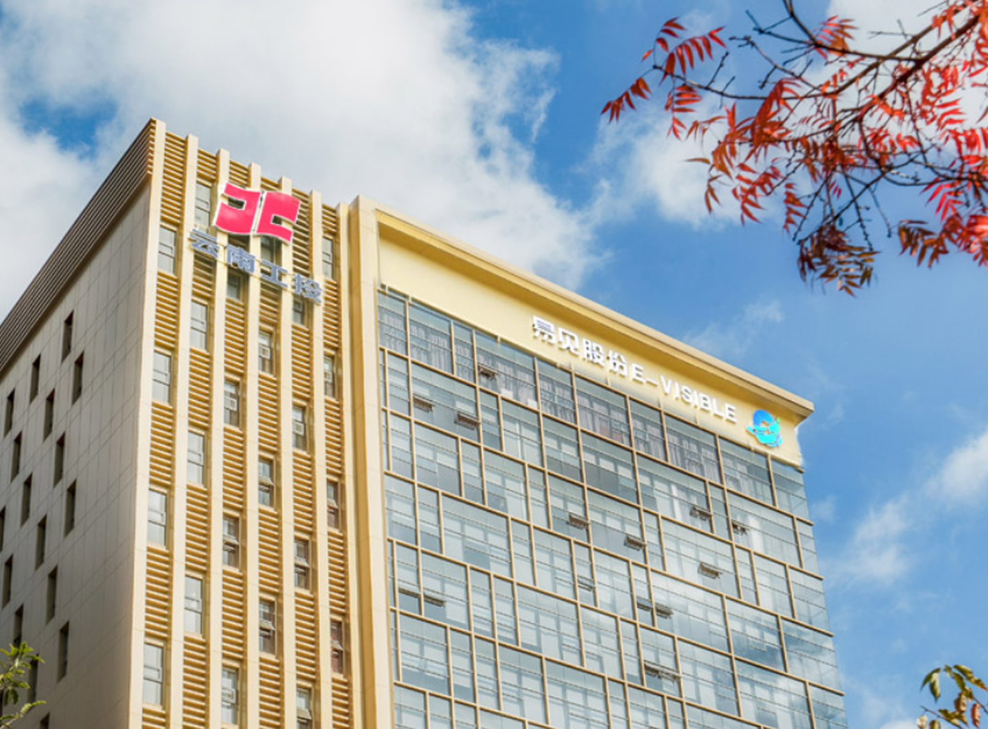 資本市場一大奇觀　雲南煤老闆掏空一家百億上市公司