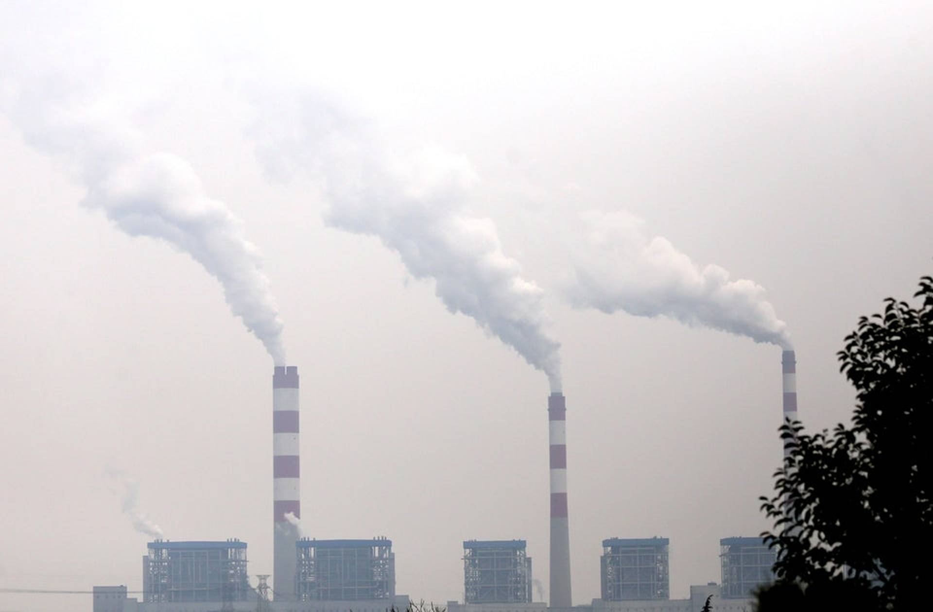 全國碳市場今日開市　詳解中國碳排放交易手冊