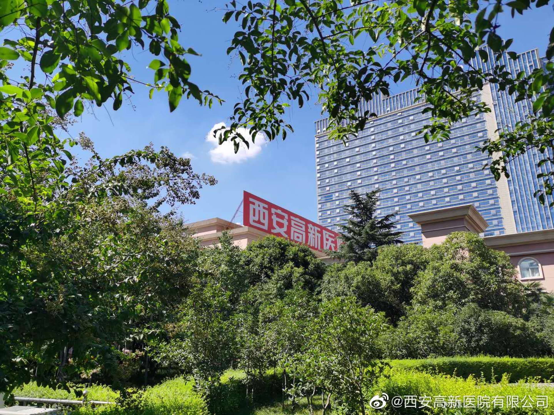 西安孕婦流產涉事醫院為營利性　背後公司股價跌超8%