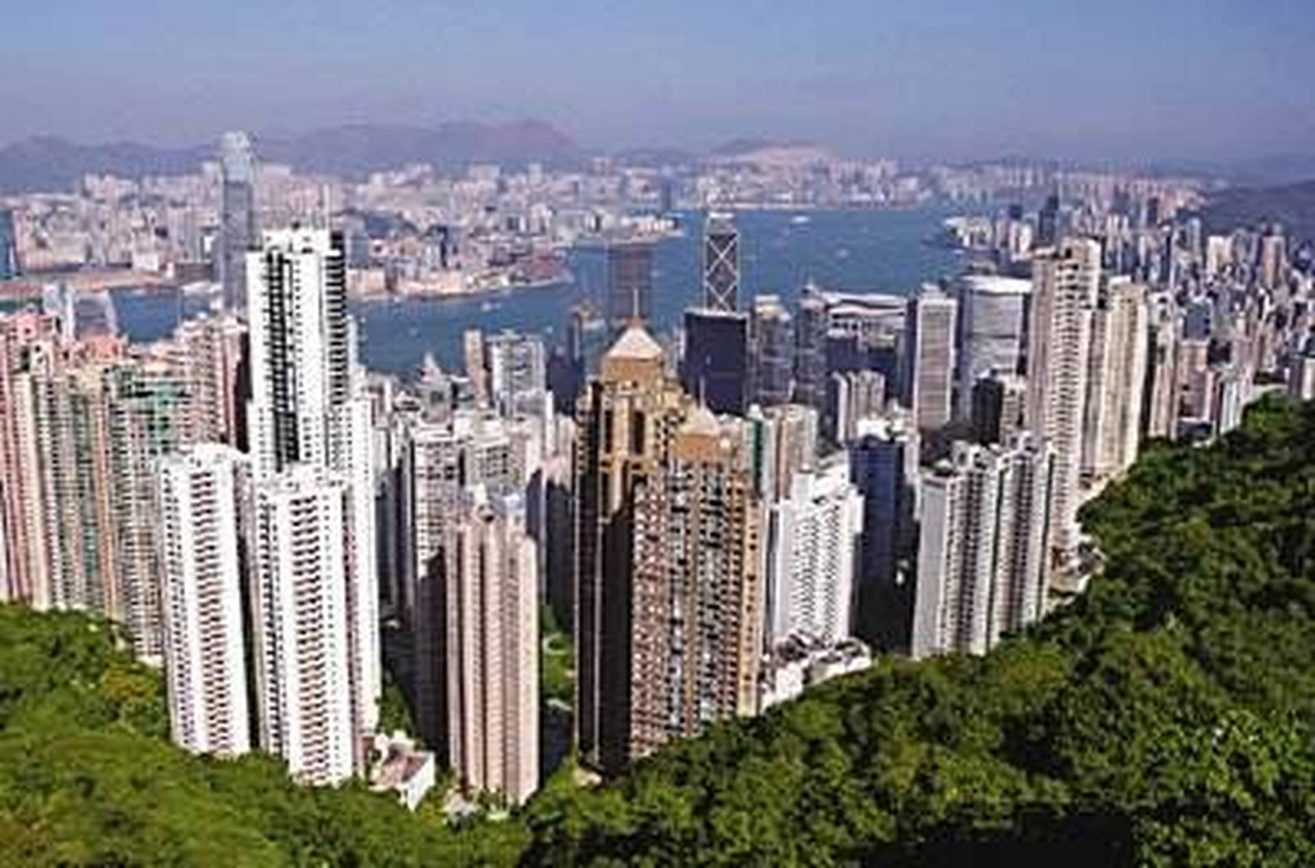 香港開出地價90萬/m²！深圳灣看了沉默，珠江新城看了流淚