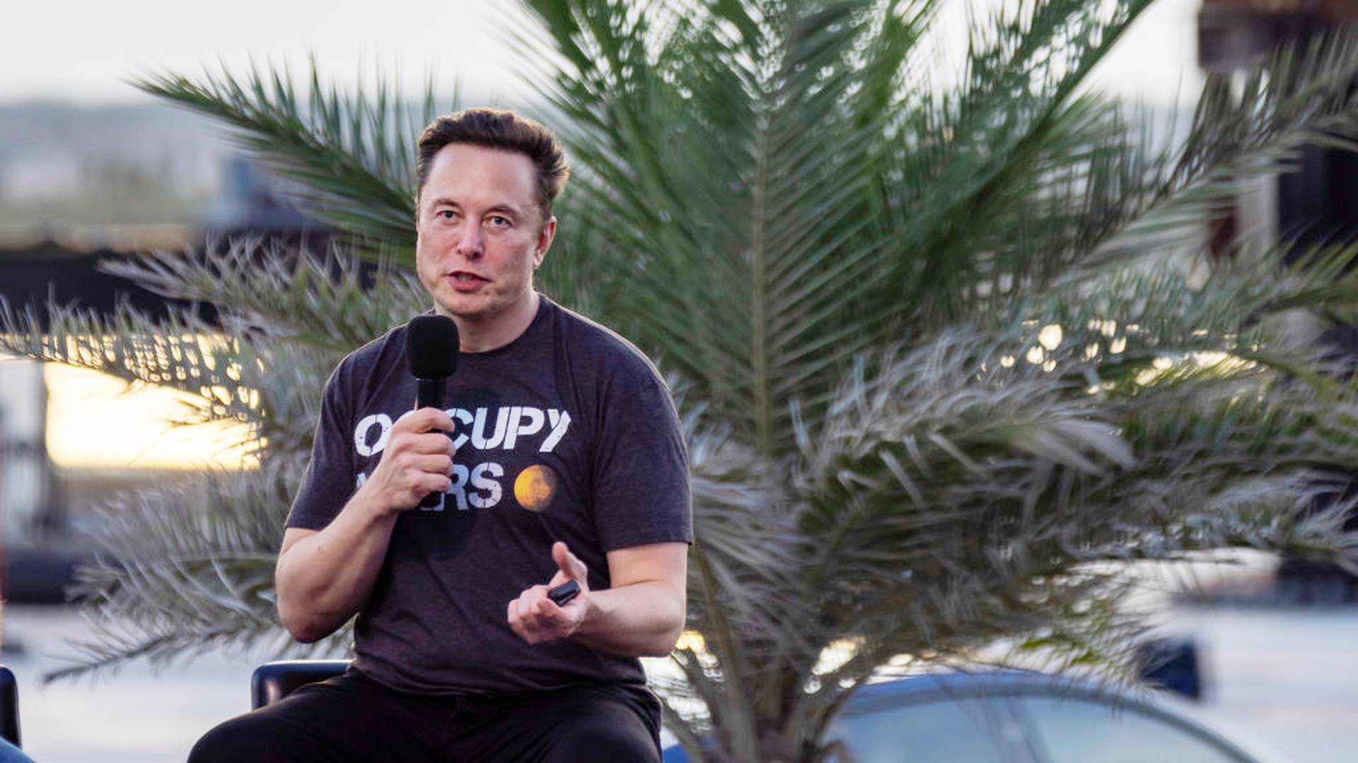 證實恢復Twitter收購　Elon Musk：覺得興奮但買貴了