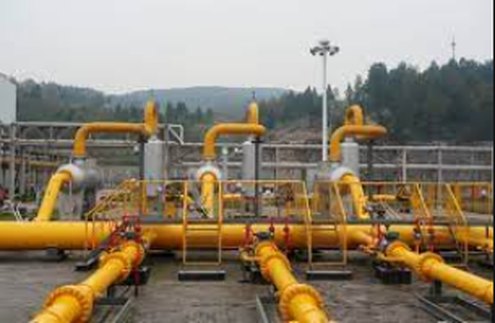 俄羅斯天然氣企業諾瓦泰克高管：美方逃稅指控不實
