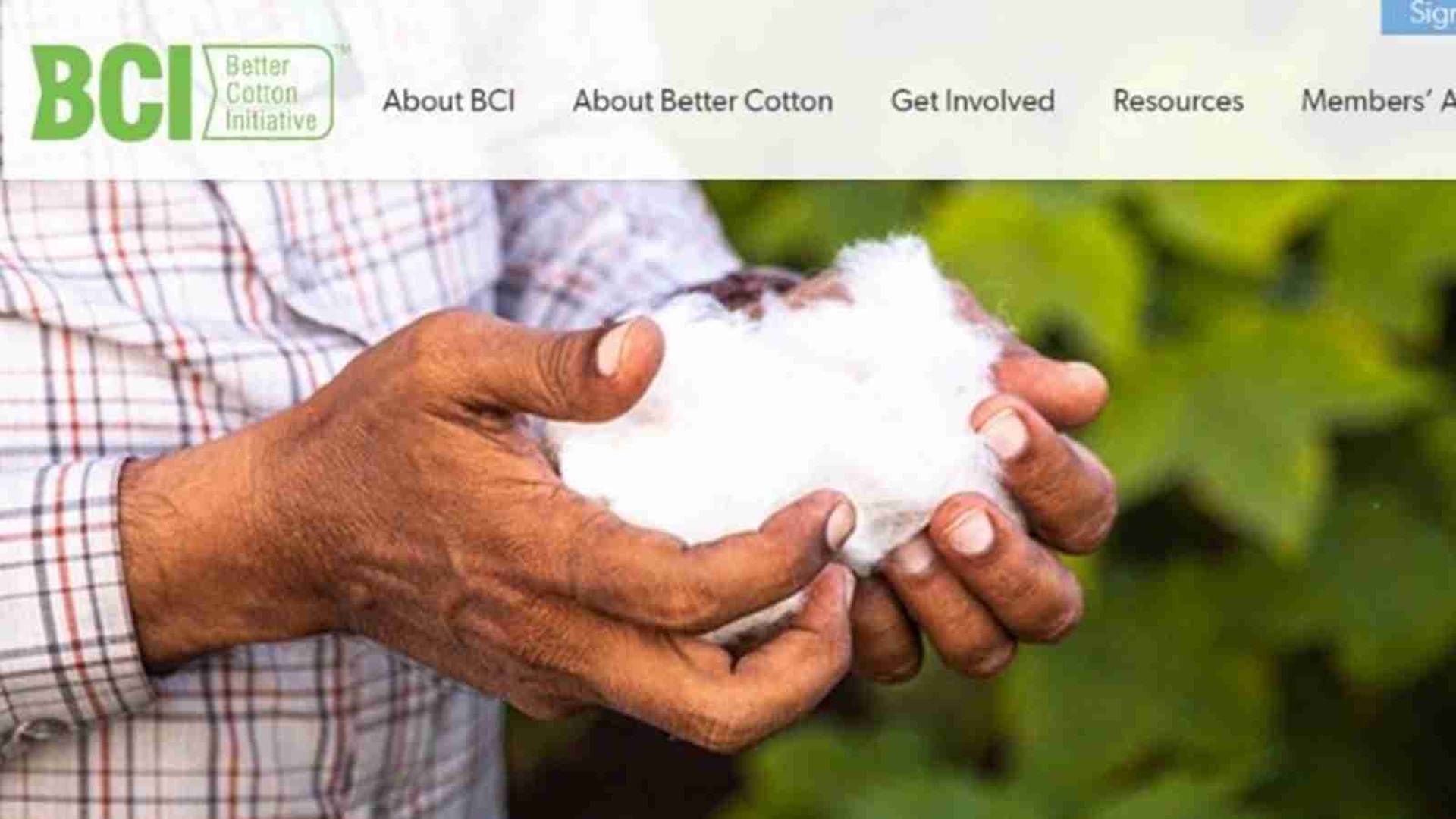 帶頭抵制新疆棉花的BCI遭起底　再有品牌宣佈退出該組織